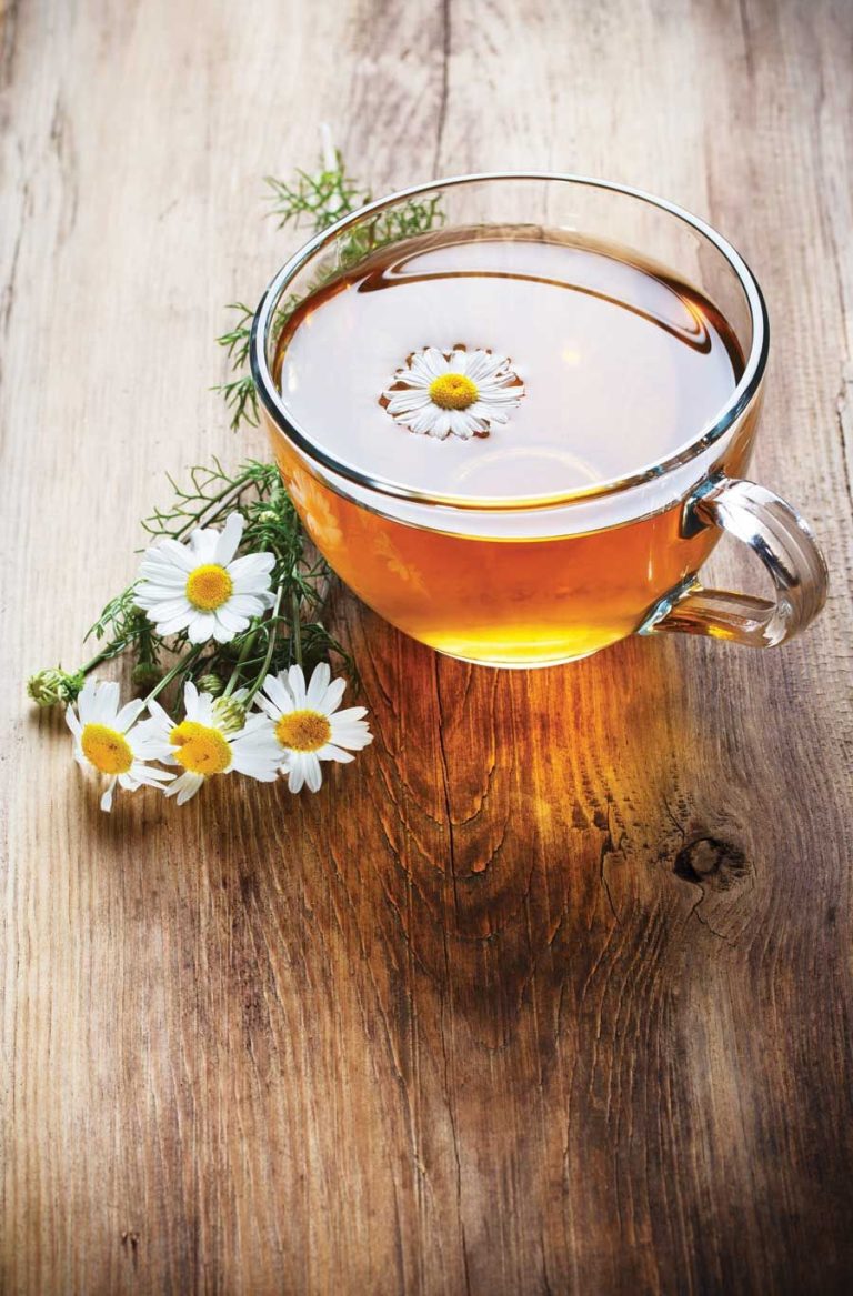 منافع و مضرات گیاهی به نام چای