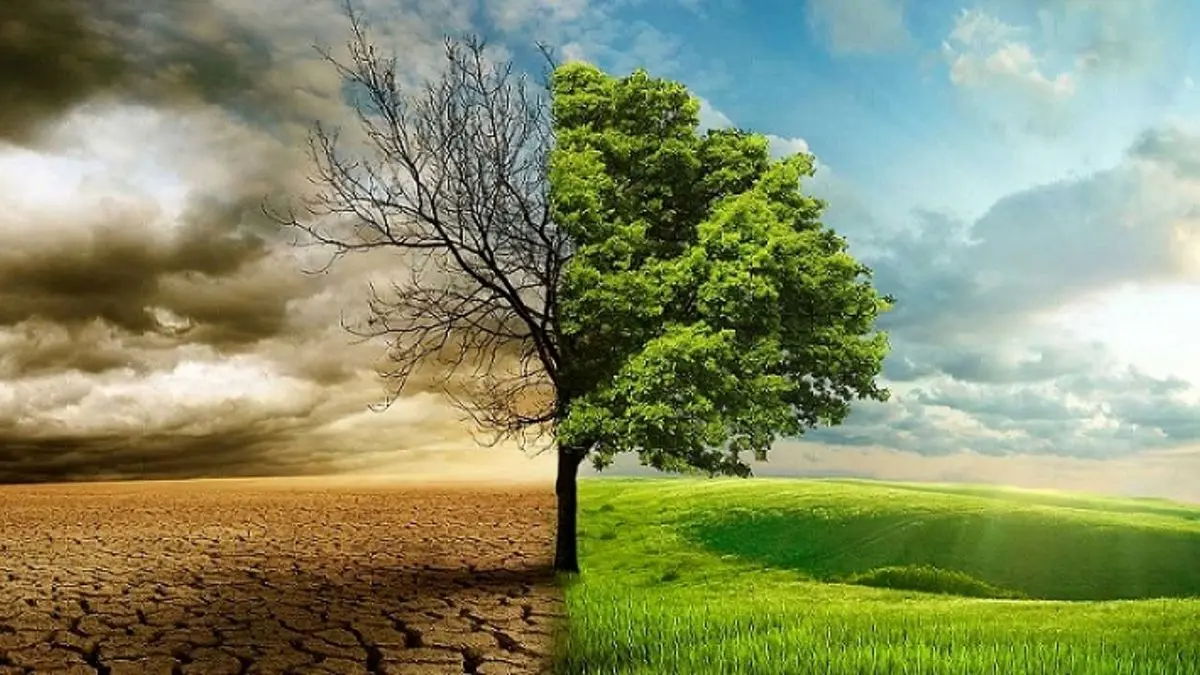 تأثیر هوای متعادل و تغییرات فصلی بر سلامت بدن