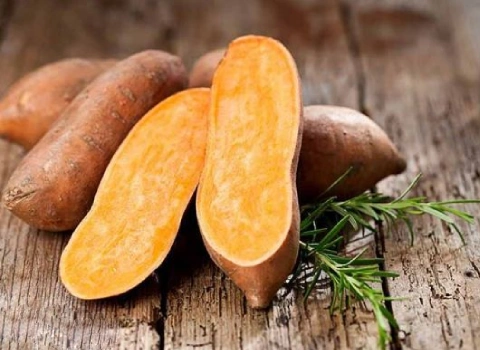 سیب زمینی شیرین وحشی ( wild yam )