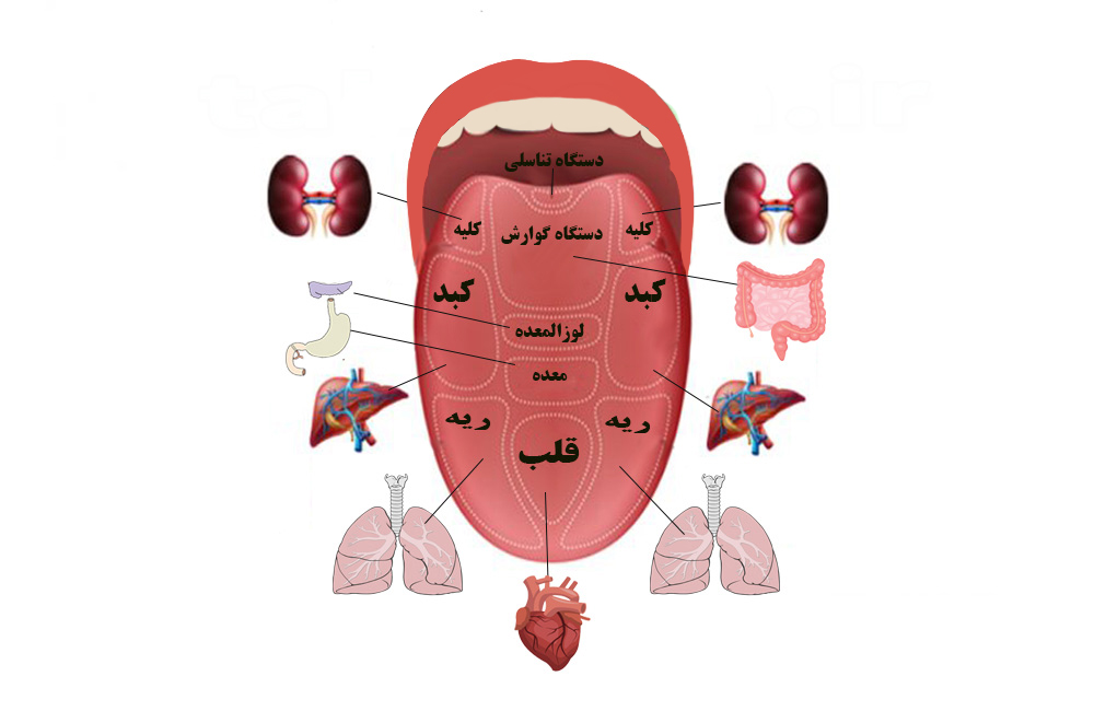 زبان