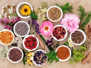 طب ایرانی دوباره بر می گردد