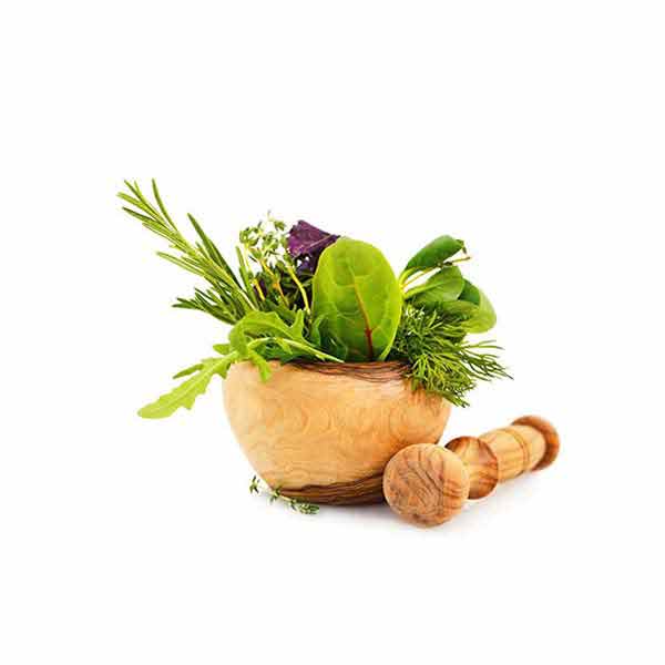 معجون گیاهی مدبر