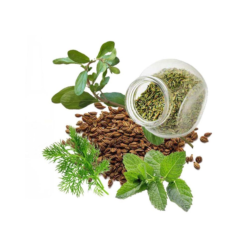 معجون گیاهی مدبر