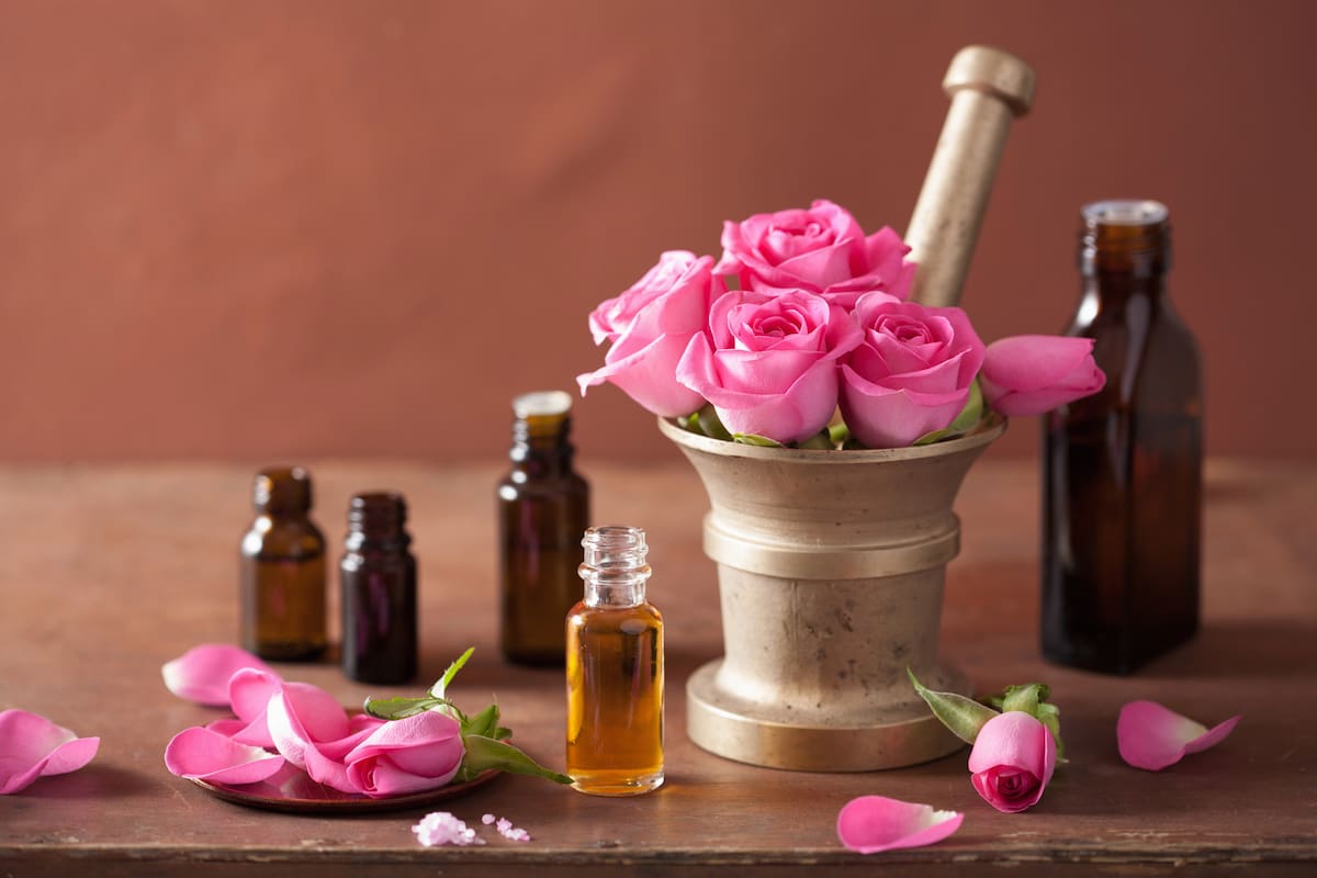عطر گل محمدی پاییز