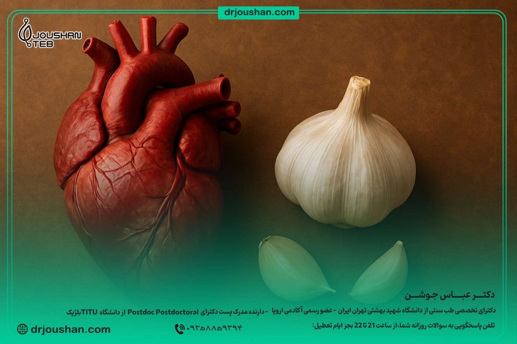اثرات-سیر-بر-قلب