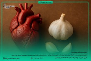 اثرات-سیر-بر-قلب