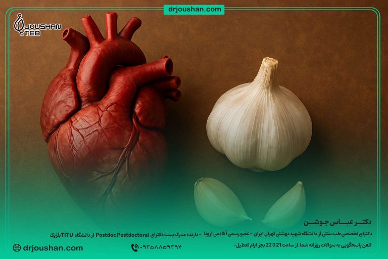 اثرات-سیر-بر-قلب