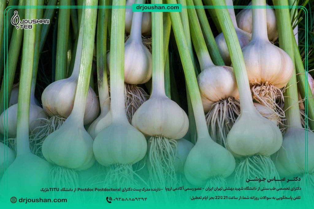 خواص-سیر-ناشتا-صبج