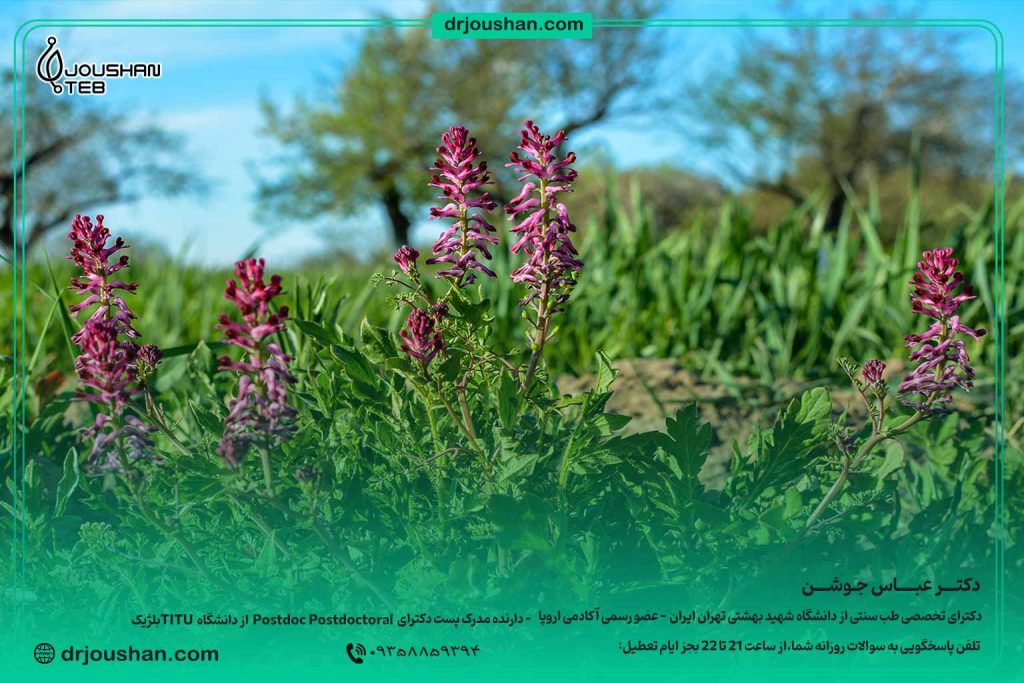 خواص-شاطره-برای-کبد-و-پوست