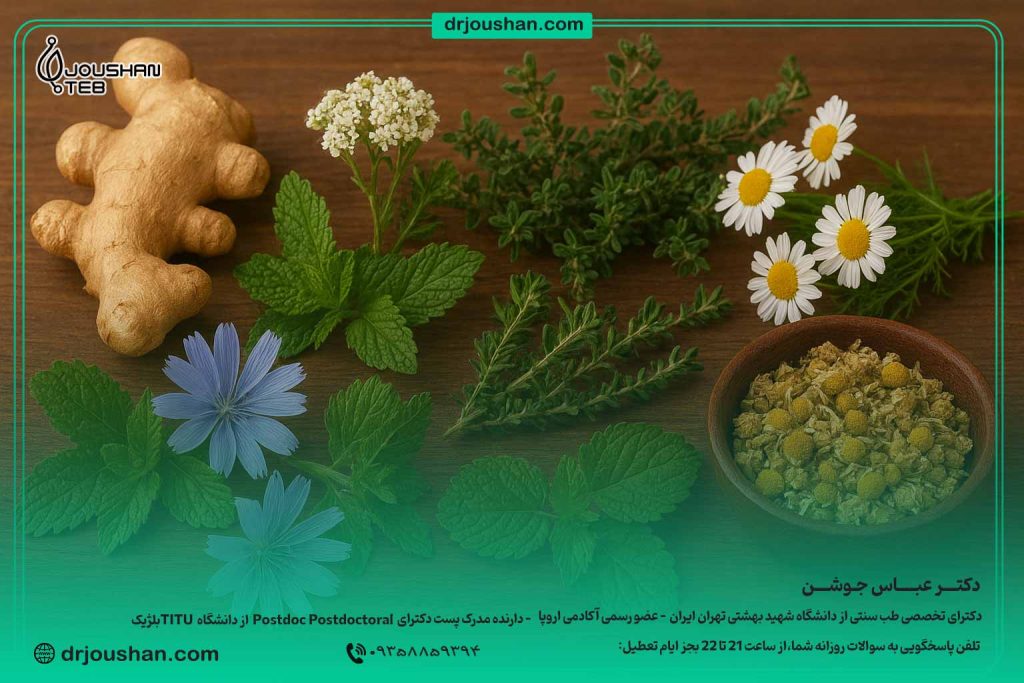 گیاهان-دارویی-برای-معده-درد---زنجبیل-،-نعناع-،-کاسنی-و-شاطره-،-آویشن-،-بابونه-،-بادرنجبویه