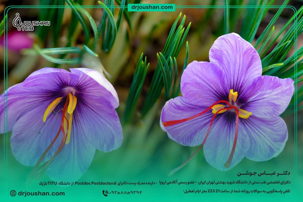 زعفران-برای-تقویت-سیستم-ایمنی