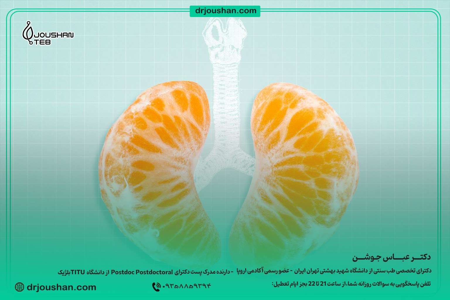 خوراکی‌های-مفید-در-آلودگی-هوا-دکتر-عباس-جوشن