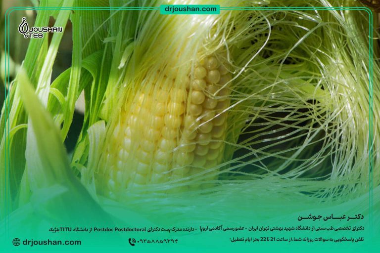 درمان-درد-کلیه-با-کاکل-ذرت-دکتر عباس جوشن
