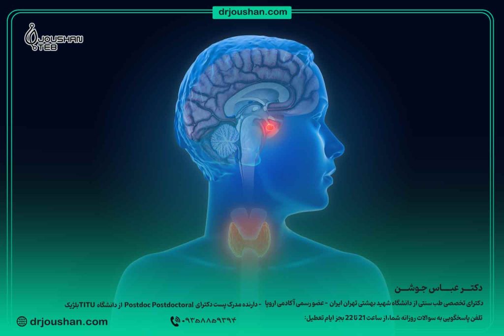رابطه-تیرویید-و-هیپوتالاموس-دکتر-عباس-جوشن