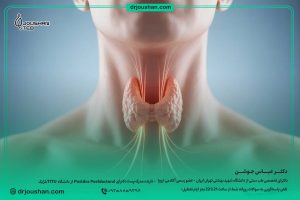 رژیم-غذایی-مخصوص-کم-کاری-تیرویید-دکتر-عباس-جوشن